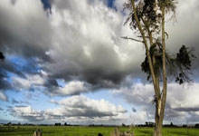 资金秒到账的世界杯十大安全外围平台 -科华生物：公(gōng)司实际控制人(rén)与公(gōng)司自然(rán)人(rén)股东彭家钰无關(guān)联關(guān)系