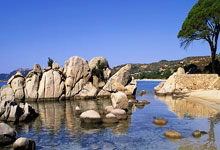 具备国际监管牌照的世界杯十大投注网 -顺络电子最新公告：涉诉三案中一案原告撤诉