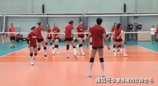 女排集训直播看点满满！亚锦赛14人名单初显，年轻队员潜力十足